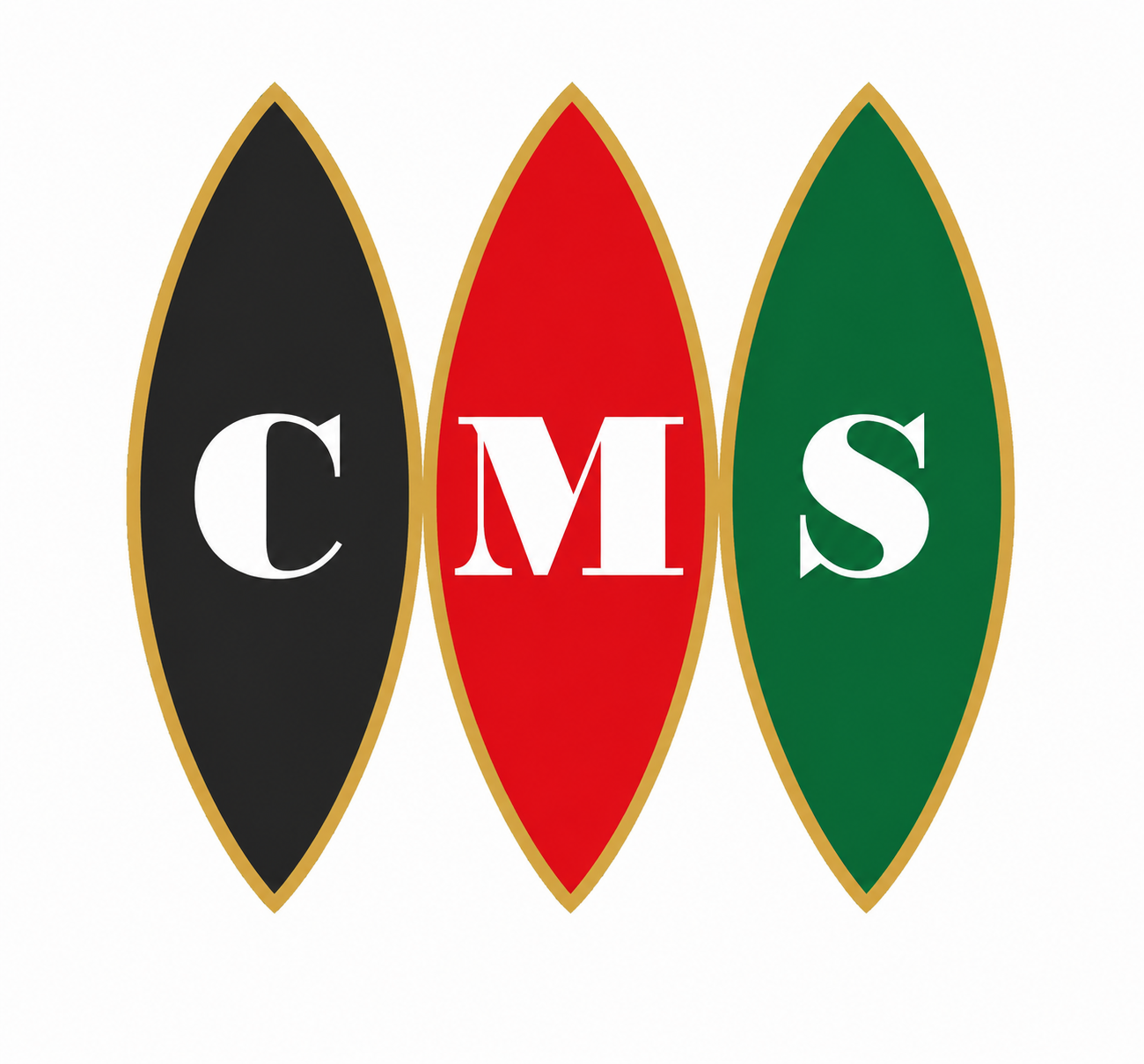 CMS Latam